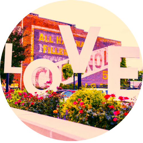 SUUSI what is suusi button